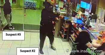 Second Hamilton person busted in armed Grimsby gas station robbery | inTheHammer - insauga.com