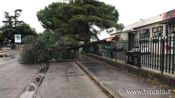 Maltempo, firmato stato di emergenza regionale in Toscana - tvprato.it