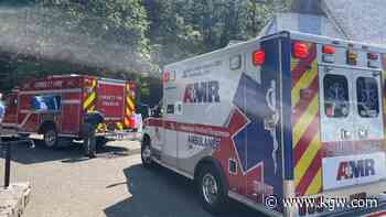 Hiker dies after 100-foot fall from trail near Multnomah Falls - KGW.com