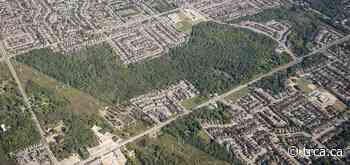 Canada Community Revitalization Fund Provides Support for Trail Upgrades at TRCA's Altona Forest - TRCA