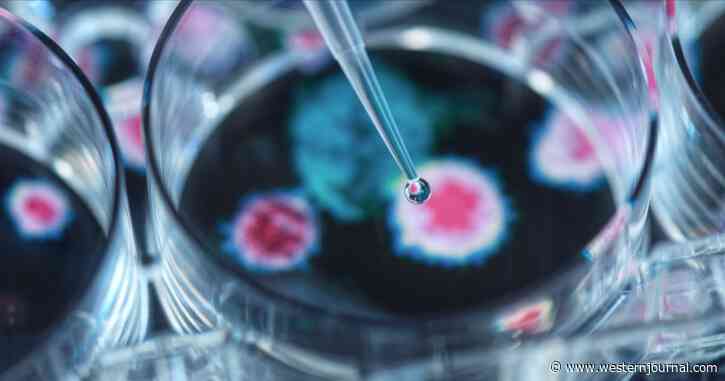Boost Your Immune System as Virus and Flu Season Kicks In - New 'Immune Support Protocol' Available at Home