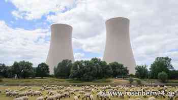 „Eine verwöhnte und nicht-sparsame Bevölkerung“: Das sagen Leser zur Energiekrise und ihren Folgen