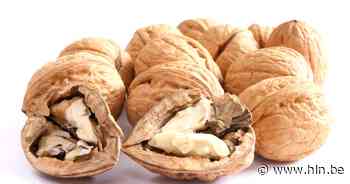 Ga op 27 augustus mee op rondleiding in een notenboomgaard - Het Laatste Nieuws