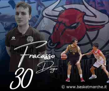 Ufficiale, la Wispone Taurus Jesi firma l'ala Diego Fracasso - Serie C Gold - Basketmarche.it