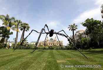 L'araignée de 3 mètres exposée à Monaco devient la plus chère du monde