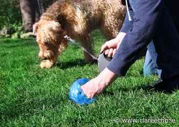 'Huge dog fouling problems' in Newmarket-on-Fergus & voice activation system causing sleepless nights in Drumgeely - The Clare Echo