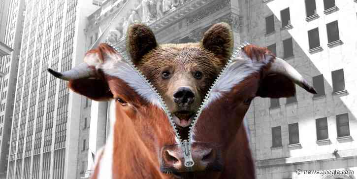 Here are 5 reasons why the bull run in stocks may be about to morph back into a bear market - MarketWatch