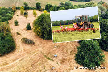 Unfall-Drama in Chemnitz! Naturschützerin gerät unter Heuwender und stirbt - TAG24