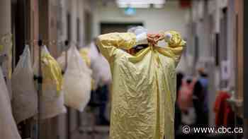 Would more privatization in Canadian health care solve the current crisis?