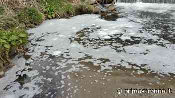 Tutela del fiume Olona: Olgiate Olona sta con Legnano - Prima Saronno