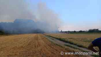 Incendio nei campi fra Saronno e Solaro, allarme per il fumo da Caronno a Ceriano, Misinto e Cogliate - IL VIDEO - Il Notiziario
