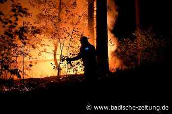 Steinens Feuerwehrkommandant über Waldbrände: "Das ist ein echter Kampf" - Steinen - badische-zeitung.de