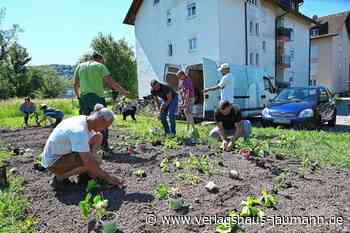 Steinen: Ein Garten für die Nachbarschaft - Steinen - www.verlagshaus-jaumann.de