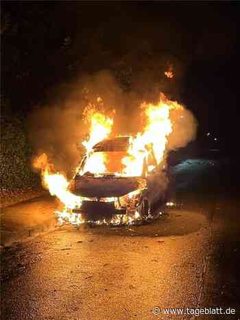 Gutachter: Taten wurden im Rausch begangen - Stade - Tageblatt-online