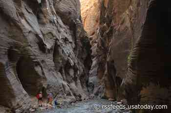 Iconic trails closed, person missing after flash flooding at Zion National Park