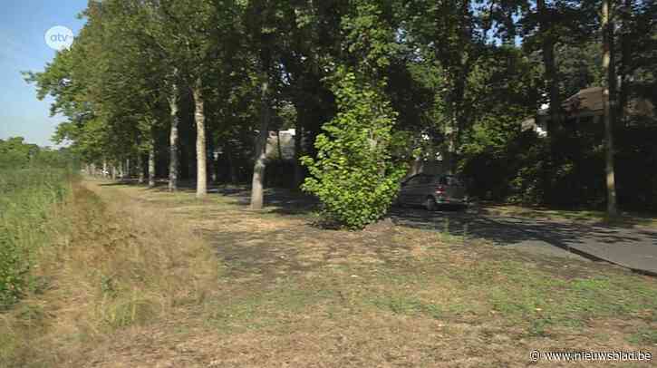 Gemeente Brasschaat legt oude grachten opnieuw open in kader van het hemelwaterplan