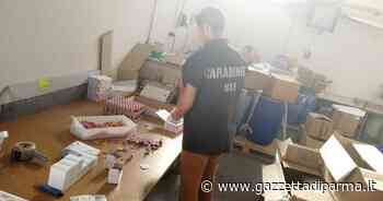 I Nas di Parma sequestrano 9 tonnellate di gnocchi di patate - Gazzetta di Parma