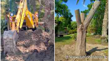 Sestu, il vento sradica l’albero del rosario. Militare si rimbocca le maniche e lo rimette al suo posto - L'Unione Sarda.it - L'Unione Sarda.it