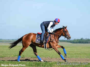 Spendarella Taking Everything 'In Stride' After Shipping West For Del Mar Oaks - Horse Racing News - Paulick Report