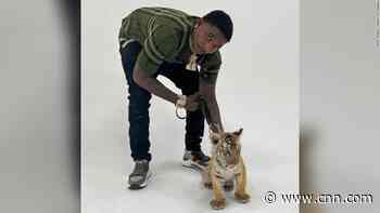 Tiger cub discovered as arrest warrant served at Dallas rapper's home