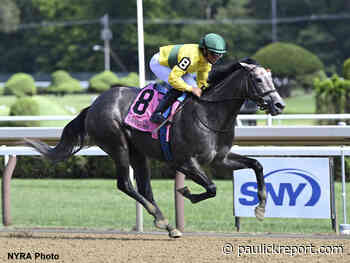 Maple Leaf Mel A Sentimental Debut Winner For Englehart - Horse Racing News - Paulick Report