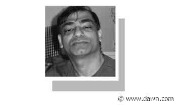 Aping American 'social justice' jargon - Newspaper - DAWN.COM - DAWN.com