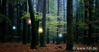 Lokale moordverhalen en live filmmuziek midden in de natuur - Het Laatste Nieuws