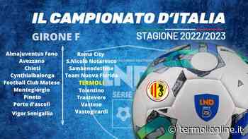Termoli: Serie D, Termoli calcio 1920 inserito nel Girone F: si comincia a Pineto - Termoli Online