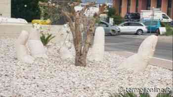 Rendiamo bella Termoli - Termoli Online