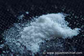 BC drug dealer sentenced to 5 years for trafficking offences - Squamish Chief