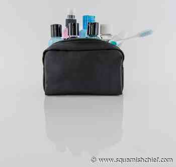 Best toiletry bags for travel: 2022 edition - Squamish Chief