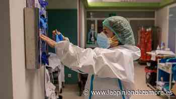 El coronavirus deja de nuevo muertos en Zamora pese al descenso de la incidencia - La Opinión de Zamora