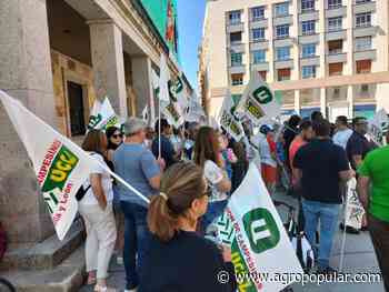 Agricultores y ganaderos protestan en Zamora por la situación del sector - Agropopular