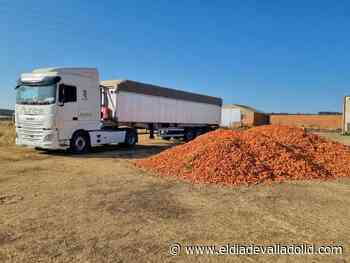 Asaja Valladolid envía alimento, forraje y paja a Zamora - El Día de Valladolid