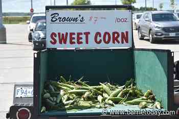 Innisfil Farmers' Market move into Stroud growing on vendors - BarrieToday