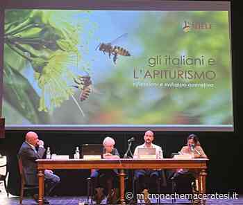 Matelica è la via del miele - Cronache Maceratesi