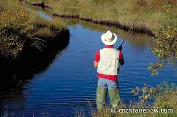 Time of day angling restrictions come into effect this afternoon - CochraneNow.com