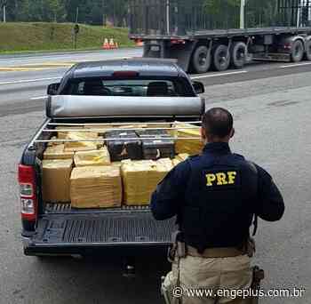 PRF encontra mais de 350 quilos de maconha em caminhonete de Imbituba - Portal Engeplus