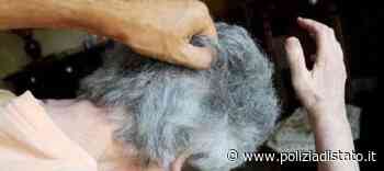 Catania: maltrattamenti in una casa di riposo, arrestata la direttrice - Poliziamoderna.it