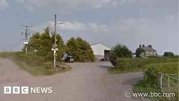 St Helens fire: Horses die after barn blaze - BBC