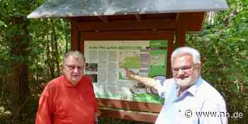 Fällt die Pilzsaison heuer aus? Das sagt der Rother Pilzberater - NN.de