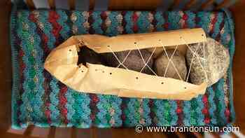 Art exhibit showcases Indigenous feminine landscape – Brandon Sun - The Brandon Sun