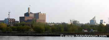 Census shows more language diversity in city - The Brandon Sun