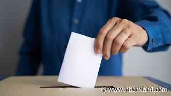 Gubernatorial Hopefuls Charlie Crist and Nikki Fried Made Final Push to Win Over Voters