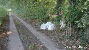 Polizei sucht Zeugen: Bauschutt illegal in Schenefeld entsorgt - shz.de