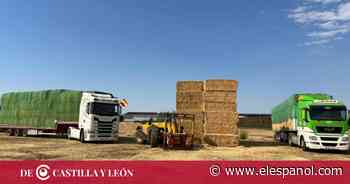De Valladolid a Zamora: paja y forraje para los afectados por los violentos incendios - EL ESPAÑOL