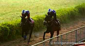 Corfe Castle, Speaking Of Love, Ayr, Bangor On Dee shine in trials at Hyderabad Race Course - Telangana Today