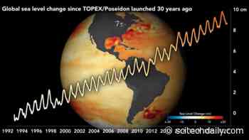 Tracking 30 Years of Sea Level Rise Around the World
