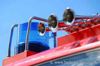 Breisacher Feuerwehr löscht brennenden Pizza-Ofen im Schrebergarten - Breisach - badische-zeitung.de