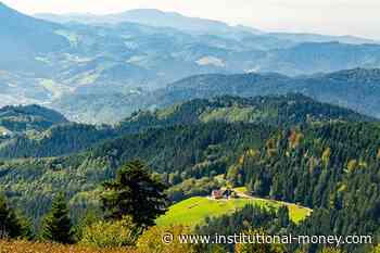 Meag über das Renditepotenzial von Forst- und Agrarinvestments - Institutional-Money